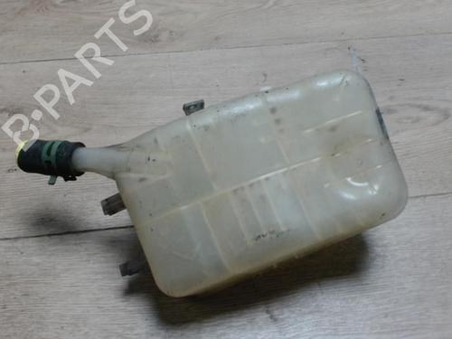 Used Expansion tank RENAULT GRAND SCÉNIC III (JZ0/1_) 1.5 dCi (JZ09, JZ0D, JZ10, JZ14, JZ1G, JZ29, JZ2C) (110 hp) 29053003