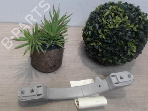 Interior roof handle CITROËN C3 I (FC_, FN_) 1.4 HDi | BP25390527I35 