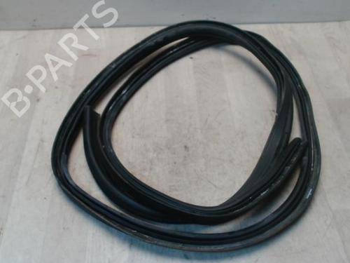 Gummiliste DACIA SANDERO 1.2 16V | BP31236102C142