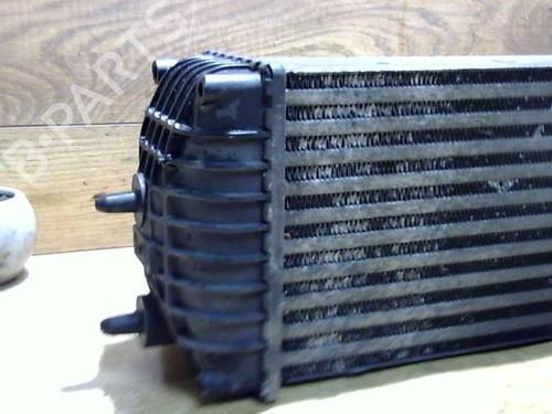 Used Intercooler CITROËN XSARA PICASSO (N68) 1.6 HDi (90 hp) 25402199