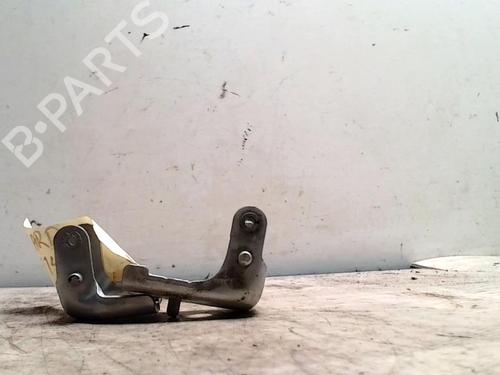 Used Hinge/Door check strap CITROËN C3 I (FC_, FN_) 1.4 16V (88 hp) 25423943