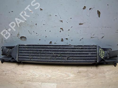 Intercooler FIAT GRANDE PUNTO (199_) 1.3 D Multijet | BP31225425M30