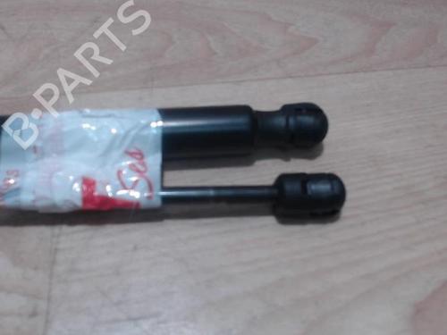 Gassdemper Bakluke CITROËN C5 III Break (RW_) 1.6 HDi 115 | BP25385286C138