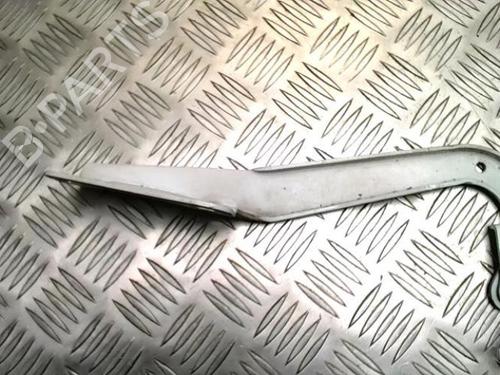 Hinge/Door check strap RENAULT MEGANE III Coupe (DZ0/1_) 1.5 dCi (DZ0A) | BP25859861C146 