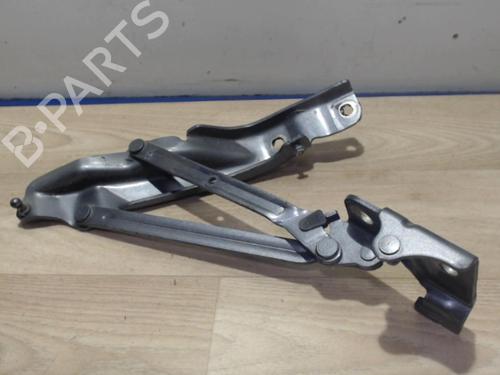 Used Hinge/Door check strap VW BEETLE Convertible (5C7, 5C8) 1.2 TSI (105 hp) 25387425