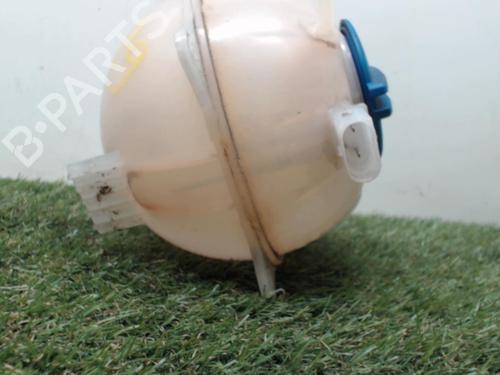 Expansion tank SKODA FABIA II (542) 1.6 TDI | BP25396645C120
