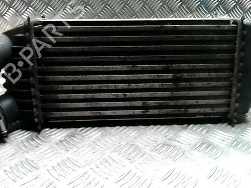 Intercooler CITROËN JUMPY II Van 1.6 HDi 90 16V | BP31263133M30 
