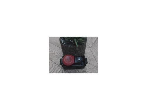 Used Warning switch RENAULT CLIO III (BR0/1, CR0/1) 1.5 dCi (C/BR0G, C/BR1G) (68 hp) 25388231