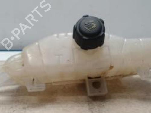 Used Expansion tank RENAULT CLIO III (BR0/1, CR0/1) 1.6 16V (BR05, BR0B, BR0Y, BR15, BR1J, BR1M, BR1Y, CR0B,... (112 hp) 25422105