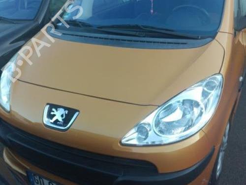 Radio PEUGEOT 1007 (KM_) 1.4 | BP29038151E6 