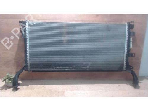 Used Water radiator RENAULT LAGUNA III (BT0/1) 1.5 dCi (BT00, BT0A, BT0T, BT1J) (110 hp) 25402262