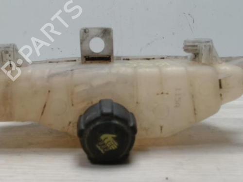 Expansion tank RENAULT CLIO III (BR0/1, CR0/1) 1.5 dCi (BR17, CR17) | BP25419070C120 
