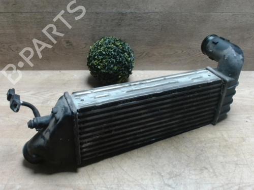 Intercooler CITROËN C8 (EA_, EB_) 2.2 HDi (170 hp) 31224515