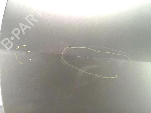 Used Left front door RENAULT SCÉNIC II (JM0/1_) 1.5 dCi (JM1E, JM16) (106 hp) 31231641