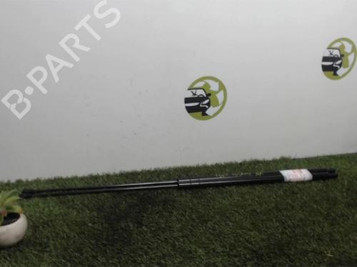 Used Tailgate lift support SEAT TOLEDO III (5P2) 2.0 TDI 16V (140 hp) 25393831