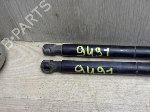 Tailgate lift support SEAT IBIZA III (6L1) 1.4 TDI | BP29503109C138 