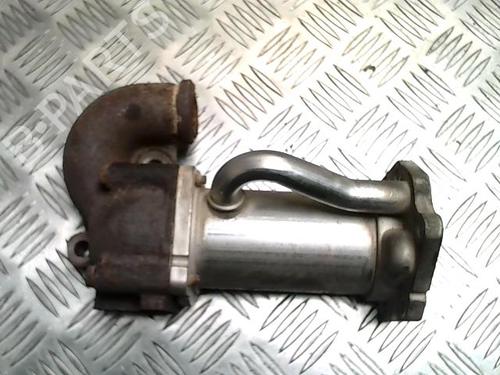 Egr RENAULT KANGOO Express (FC0/1_) 1.5 dCi | BP25833494M69 