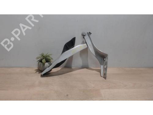 Hinge/Door check strap PEUGEOT 308 I (4A_, 4C_) 1.6 HDi | BP25412568C146 