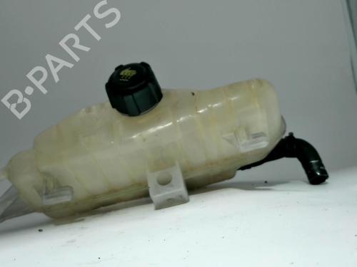 expansion-tank-renault-clio-iii-grandtour-kr01_-2007-25430874 main image