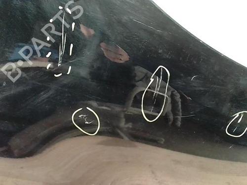 left-front-fenders-renault-scenic-iii-jz01_-2008-2009-2010-2011-2012-2013-2014-2015-2016-31231839 main image