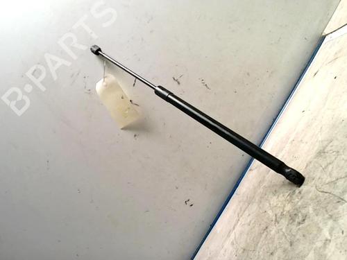 Pansergassdemper TOYOTA YARIS VERSO (_P2_) 1.4 D-4D (NLP20_, NLP22_) (75 hp) 25424504