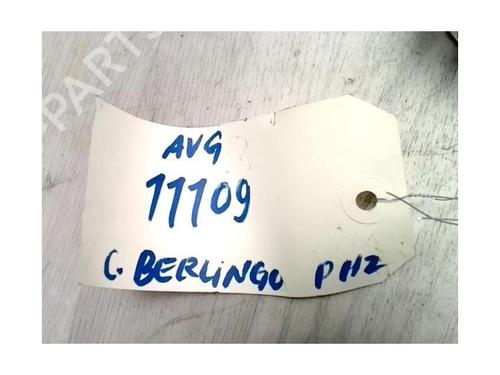 Hinge/Door check strap CITROËN BERLINGO / BERLINGO FIRST MPV (MF_, GJK_, GFK_) 1.6 16V (MFNFU) | BP25420976C146 