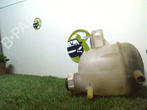 Ekspansjonstank RENAULT TWINGO II (CN0_) 1.2 (CN0D) (58 hp) 25396225