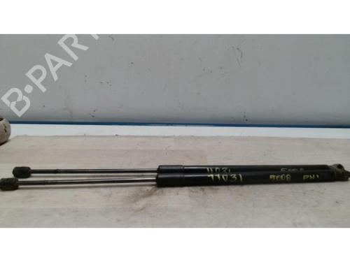 Tailgate lift support PEUGEOT 5008 (0U_, 0E_) 1.6 HDi | BP25420090C138