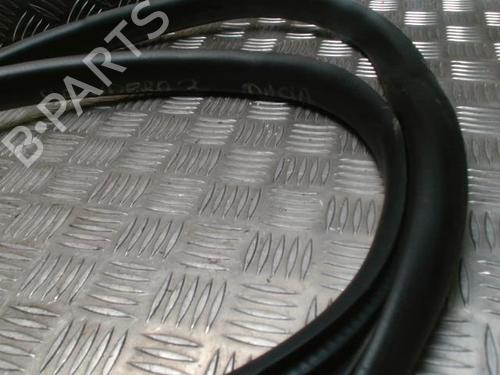 Rubber door seal DACIA SANDERO III 1.0 TCe 100 ECO-G | BP30523202C142
