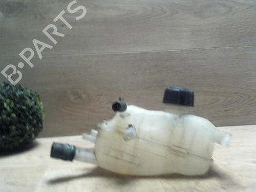 Used Expansion tank RENAULT MEGANE III Hatchback (BZ0/1_, B3_) 1.5 dCi (86 hp) 29232485