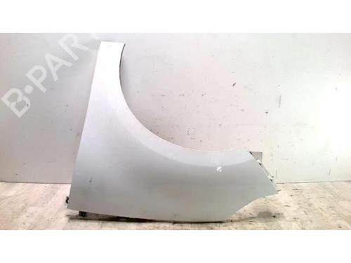 Left front fenders RENAULT SCÉNIC III (JZ0/1_) 1.5 dCi | BP25426712C41 