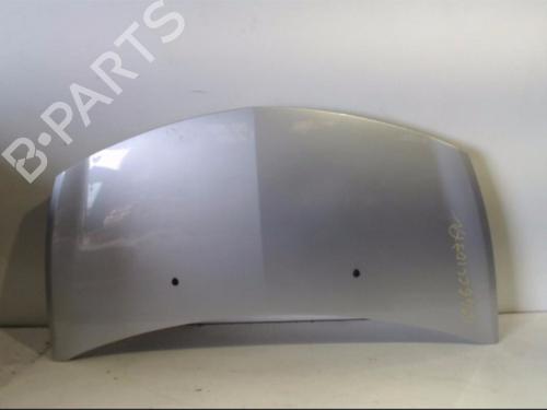 Used Hood RENAULT CLIO III (BR0/1, CR0/1) 1.5 dCi (C/BR0G, C/BR1G) (68 hp) 25408616