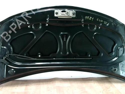 Hood RENAULT CLIO III (BR0/1, CR0/1) 1.6 16V (BR05, BR0B, BR0Y, BR15, BR1J, BR1M, BR1Y, CR0B,... | BP28088660C1 