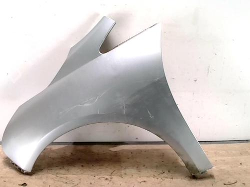 Used Left front fenders MITSUBISHI GRANDIS (NA_W) 2.0 DI-D (NA8W) (136 hp) 25421233