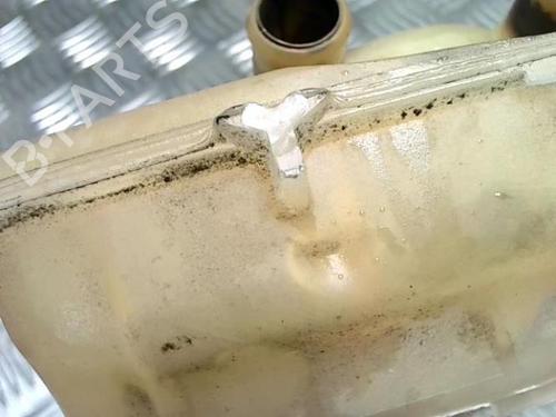 Expansion tank CITROËN C8 (EA_, EB_) 2.0 HDi | BP29415693C120 