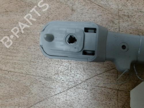 Used Interior roof handle PEUGEOT 1007 (KM_) 1.4 (75 hp) 29047525