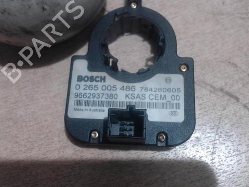 Elektronische sonde CITROËN C4 Picasso I MPV (UD_) 1.6 HDi | BP25414316M84 