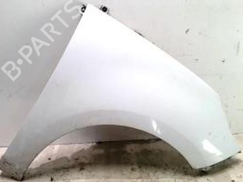 Used Right front fenders RENAULT SCÉNIC III (JZ0/1_) 1.5 dCi (106 hp) 25426713