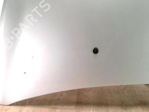 Hood RENAULT CLIO III (BR0/1, CR0/1) 1.6 16V (BR05, BR0B, BR0Y, BR15, BR1J, BR1M, BR1Y, CR0B,... | BP28088658C1 