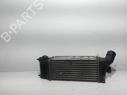Intercooler CITROËN C5 II (RC_) 2.2 HDi (RC4HXE) | BP25399861M30 