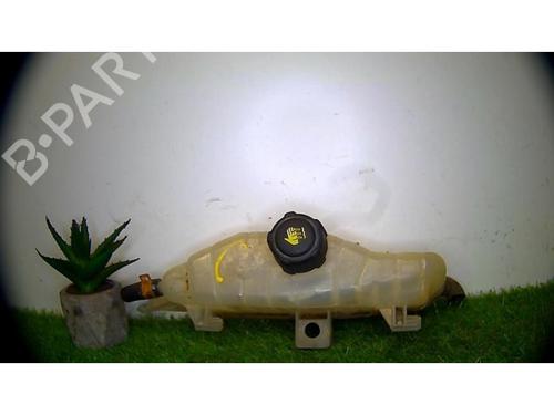 Expansion tank RENAULT CLIO III (BR0/1, CR0/1) 1.5 dCi | BP25384473C120 
