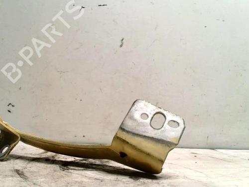 Hinge/Door check strap RENAULT KANGOO Express (FW0/1_) 1.5 dCi 85 (FW0K, FW0L, FW0B) | BP25423989C146 