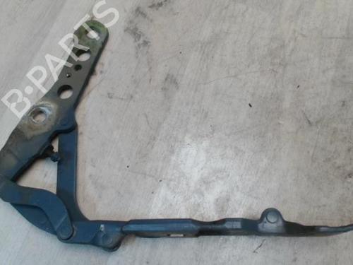 Hinge/Door check strap RENAULT MEGANE I (BA0/1_) 1.6 e (BA0F, BA0S) | BP27670477C146 
