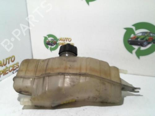 Used Expansion tank RENAULT CLIO III (BR0/1, CR0/1) 1.5 dCi (C/BR0G, C/BR1G) (68 hp) 25399488