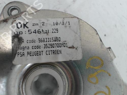 Hinge/Door check strap PEUGEOT 3008 I MPV (0U_) 1.6 HDi | BP25415505C146 