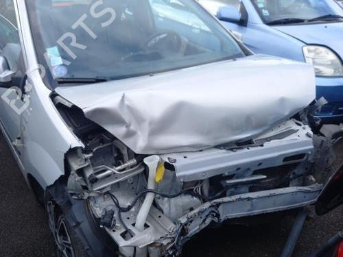 Tailgate RENAULT TWINGO II (CN0_) 1.2 16V (CN04, CN0B) | BP30806009C6 