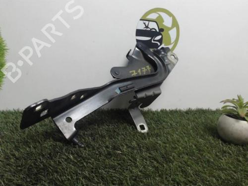 Used Hinge/Door check strap RENAULT GRAND SCÉNIC III (JZ0/1_) 1.5 dCi (JZ09, JZ0D, JZ10, JZ14, JZ1G, JZ29, JZ2C) (110 hp) 25393527