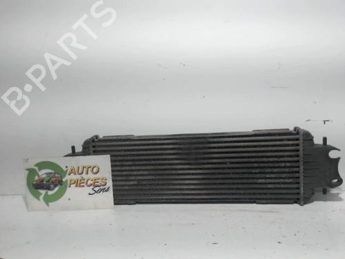 Intercooler RENAULT TRAFIC II Van (FL) 1.9 dCi 100 (FL0C, FL0K, FL0B) (101 hp) 25399853