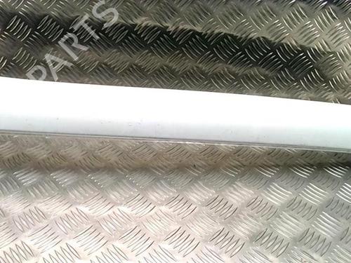 Scuttle panel RENAULT SCÉNIC III (JZ0/1_) 1.5 dCi | BP25715641C110 