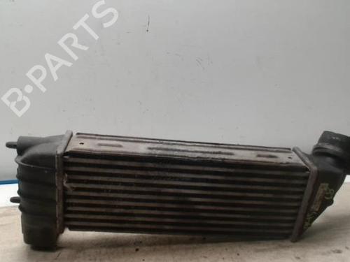 Intercooler CITROËN C8 (EA_, EB_) 2.0 HDi | BP28051447M30